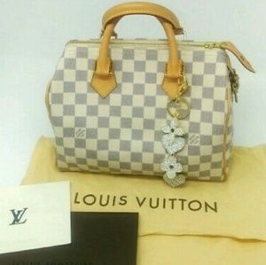 Louis Vuitton Speedy 25 Damier Ebene Leather Bag